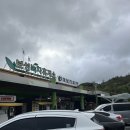 완도읍사무소 | 완도 가족여행 1박2일 1(완도치유페이/완도전통시장/완도어반/신흥사/청해포구촬영장/당인리포레스트...