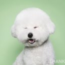 심바스튜디오 이미지