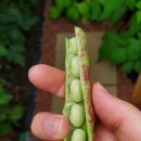 첫눈에 반하게 이미지