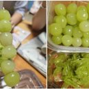 한송단무지 네이버블로그