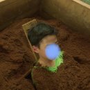 생생생공화국 이미지