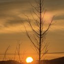 (주) 세븐일렉 | 2026