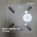 (주)피드백 | [3일피드백] 스위치온 다이어트 주1회 단식도전 후기, 여행 후 급찐급빠하기 후기(-1.3kg)