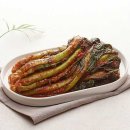 맛나김치 이미지