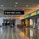 상하이 여행 1일차 上 | (춘추항공 후기, 입국 신고, 알리 페이로 지하철 타기, 결제 방법 등 꿀팁 다수!!)