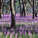 송림빌딩 이미지