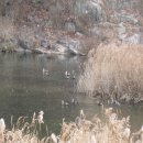 고양누리길 14코스 바람누리길 이미지