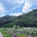 마이산길 이미지