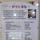 소랑버섯 이미지