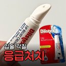 릴리프 | 블리스텍스 립 릴리프 크림 후기 | 입술 각질 관리용으로 만족