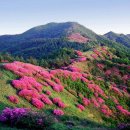 SK성원주유소 이미지