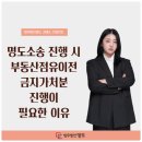 명도소송 진행 시 부동산점유이전금지가처분 진행이 필요한 이유-법무법인 명도 김예소 변호사 이미지