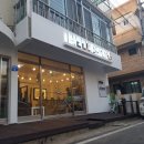 헬로독 이미지