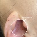 유어미에스테틱