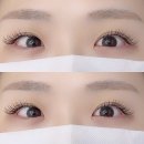 쁨래쉬 네이버블로그