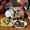 강아지수제간식 해피왈츄 피자·김밥·송아지목뼈 급여해봤어요