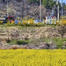 벌꿀모텔 이미지