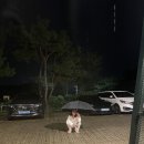 남쪽으로튀어브로잉컴퍼니