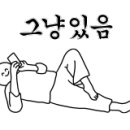 프린세스애견 네이버블로그