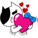 금강세탁 이미지