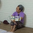 홀리몰리 이미지