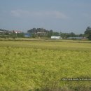 전대1리마을회관 이미지