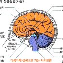 가천의대 내 이미지