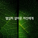 걷다보면 이미지