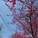 매곡2길 이미지