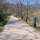 정금마을 차밭 앞 이미지