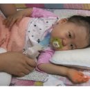 청원스크랩 이미지