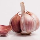 이복주원조가오리 이미지