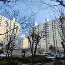 공작성일아파트 앞 이미지