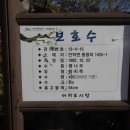 동광리-13 이미지