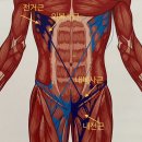 노경우필라테스 네이버블로그