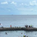 UR(서귀포시)-[태위로]-상-13 | 제주도민 서귀포여행 / 태웃개 / 기흥어물 / 적심 / 듀크타코 /