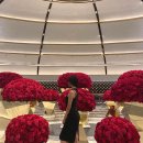 M&M 휘트니스 | [8일차] 라스베가스, 벨라지오 분수쇼, 어웨이크닝쇼, 코카콜라, M&amp;M, 케인즈