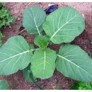 윤기농장 이미지