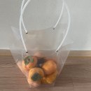 영도사랑약국 | 11월은 이렇게 - 코스트코 어그, 두바이쫀득쿠키, 인천 짜장면축제, 호주여행준비, 블프세일 기다리며