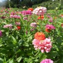 평촌회관 이미지