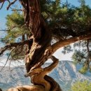 알찬농장 이미지