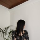 일일오(115) 이미지
