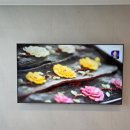 파주시 신영지웰 4단지 75인치 벽걸이 TV 설치 후기!