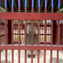 목신리 보살상 이미지