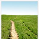 어진샘노인종합복지회관 이미지