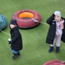 백아산관광목장백아산눈썰매장 티스토리