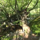 초암사서부도 이미지