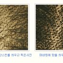 모터치 이미지