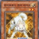 로드헌터 이미지