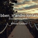 (강영아) Ebben, n'andro lontana(Alfredo Catalani) 이미지